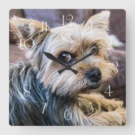 Reloj Cuadrado Yorkshire Terrier