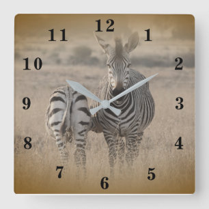 Reloj Cuadrado Zebra