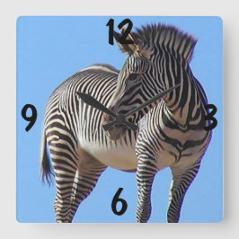 Reloj Cuadrado Zebra Wall Clock