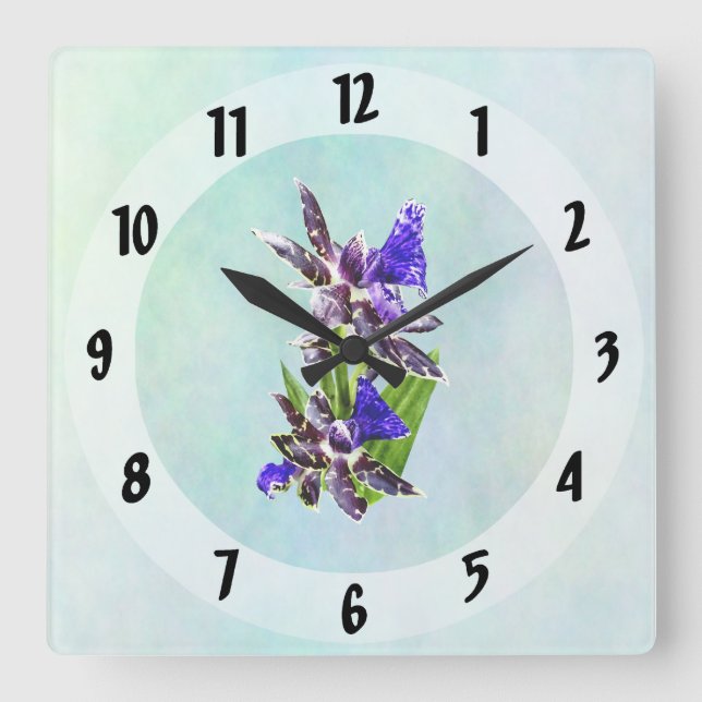 Reloj Cuadrado Zygo Advance Australia HOF (Anverso)