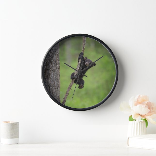 Reloj Cubo de oso negro jugando en la extremidad del árb (Hogar)