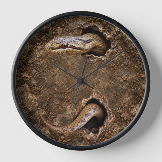 Reloj Culebra Lisa Saliendo de Agujeros Rocoso Fauna