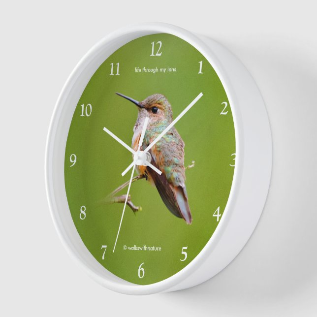 Reloj Cute Rufous Hummingbird en California Lilac (Ángulo)