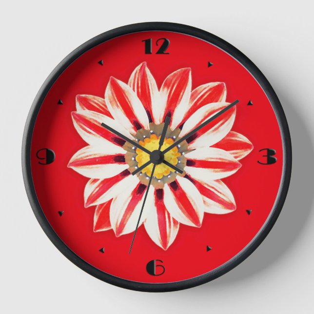Reloj Daisy africano / Gazania - franja roja y blanca (Anverso)