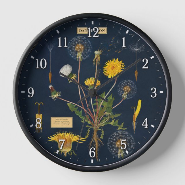 Reloj Dandilions - Botánico (Anverso)