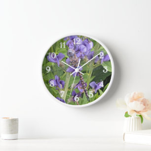 Reloj Darner Dragonfly de ojos azules sobre flores morad