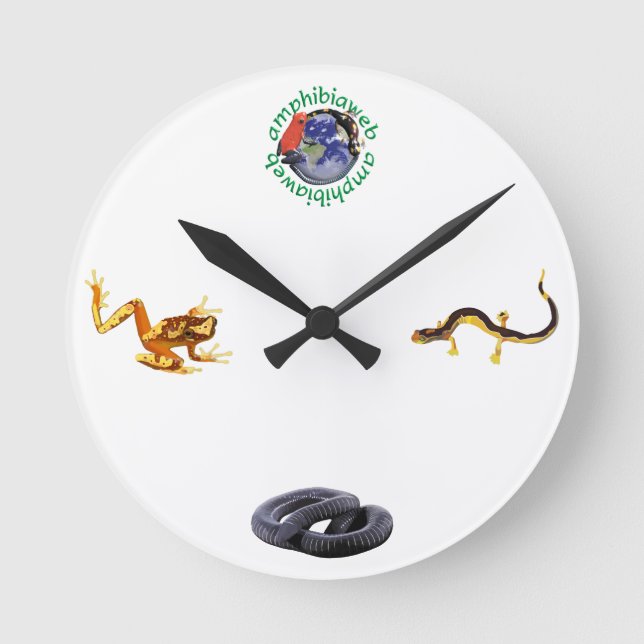 Reloj de AmphibiaWeb (Anverso)