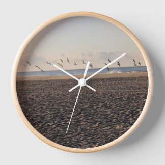 Reloj de aves marinas