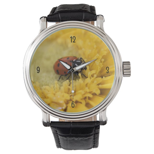 Reloj de bolsillo de fallo (Anverso)
