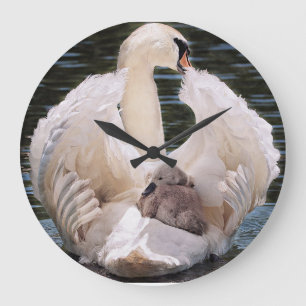 Reloj de cisnes