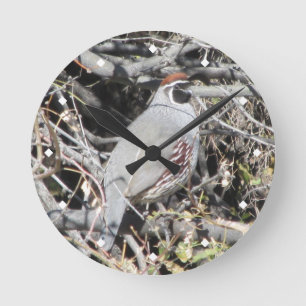 Reloj de codorniz para hombres de Gambel