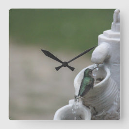 Reloj de colibrí