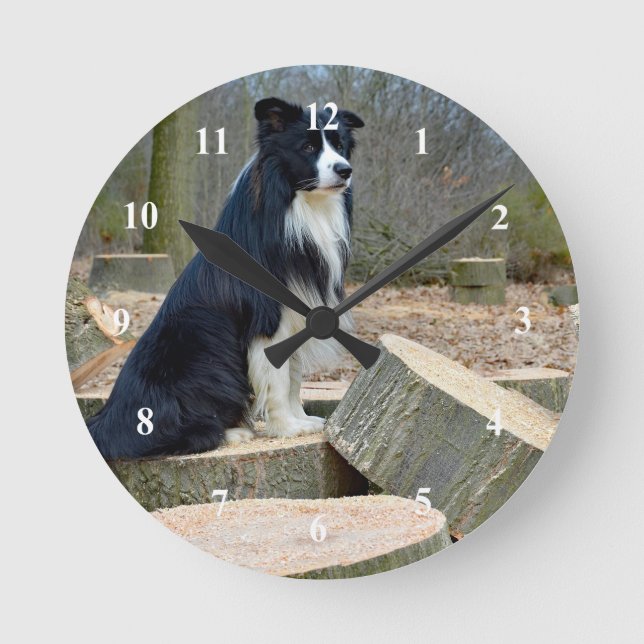 Reloj de color de borde (Anverso)