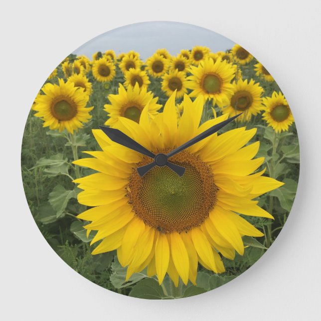 Reloj de cosecha de campo de girasol amarillo (Anverso)