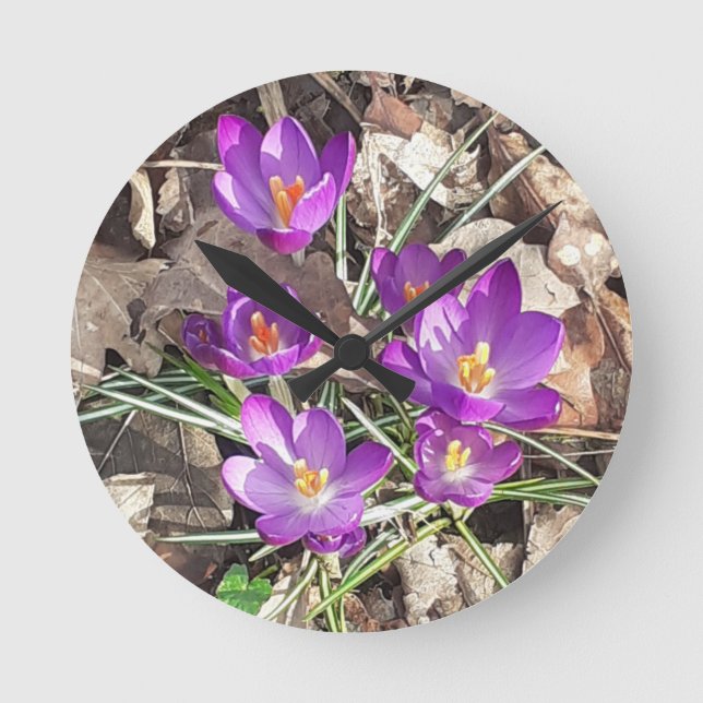 Reloj de crocus púrpura (Anverso)