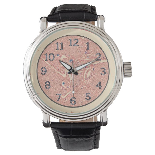 Reloj de escritura de arte de histología (Anverso)
