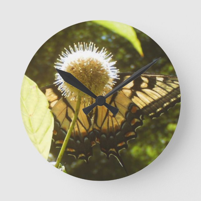 Reloj de flor monarca de junio (Anverso)