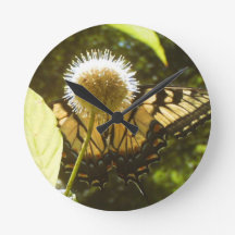 Reloj de flor monarca de junio