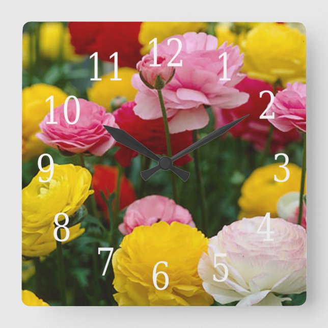 Reloj de flores de clavel colorido (Anverso)