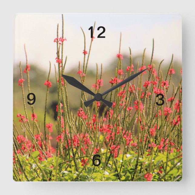 Reloj de flores de jardín de bonito (Anverso)