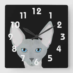 Reloj de gato Sphynx