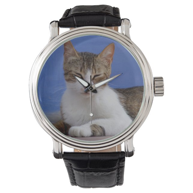 Reloj de gatos de tabla (Anverso)