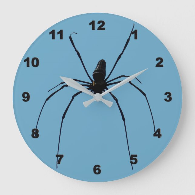 Reloj de la araña (Anverso)