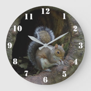 Reloj de la ardilla