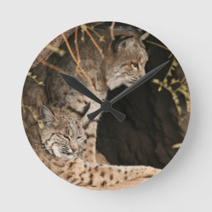 Reloj de la foto del lince