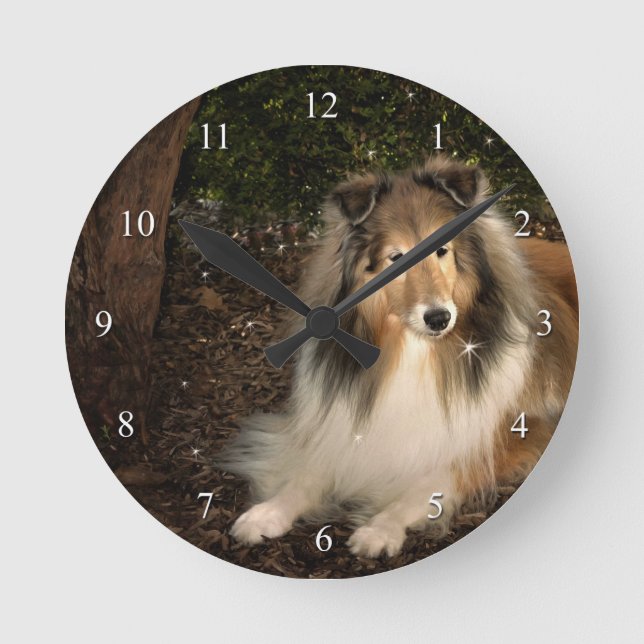Reloj de la magia de Sheltie (Anverso)