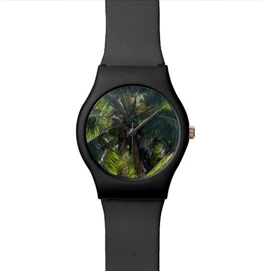reloj de la palmera