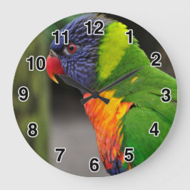 Reloj de loro colorido