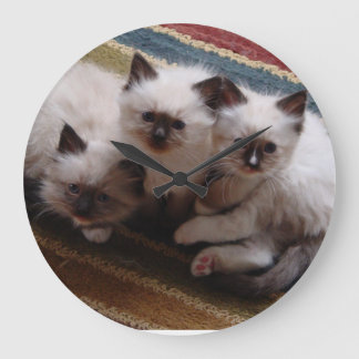 Reloj de los gatitos de Ragdoll