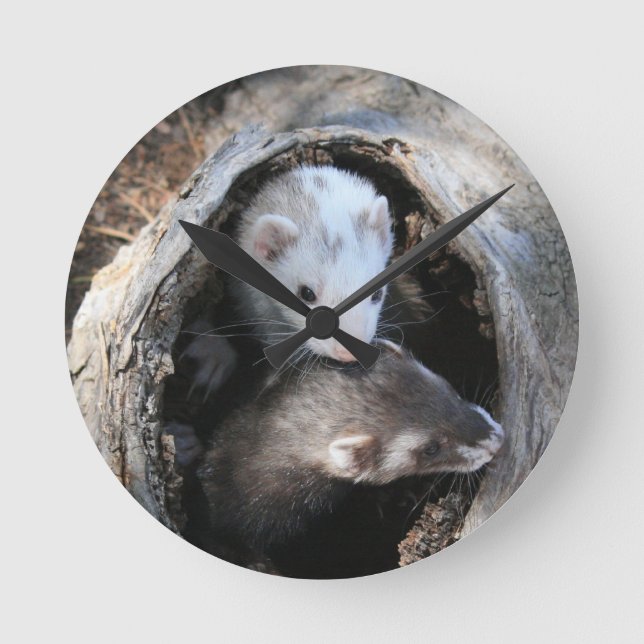 Reloj de los Pals (Anverso)