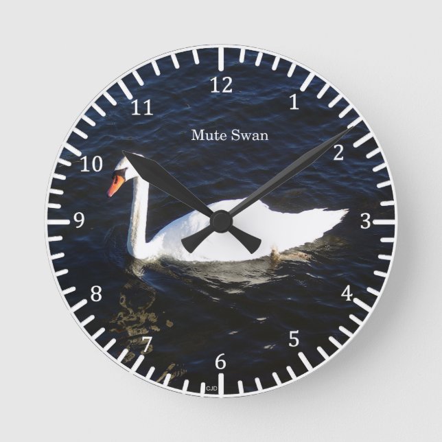 Reloj de mute Swan (Anverso)