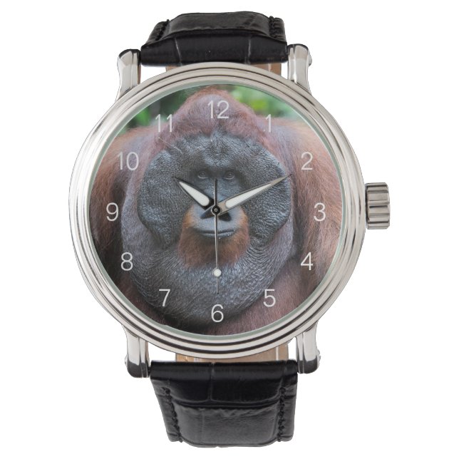 Reloj de Orangutan (Anverso)