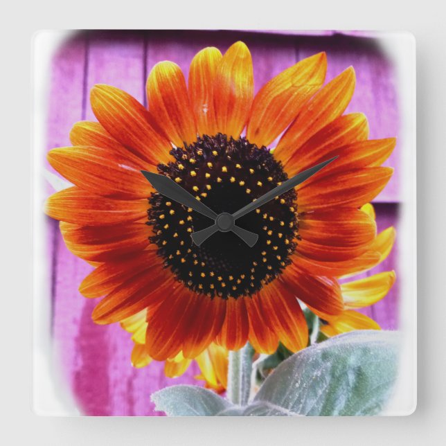 Reloj de pared (Anverso)