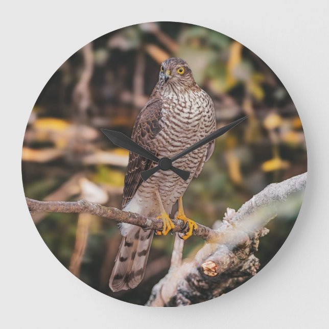 Reloj de pared (Anverso)