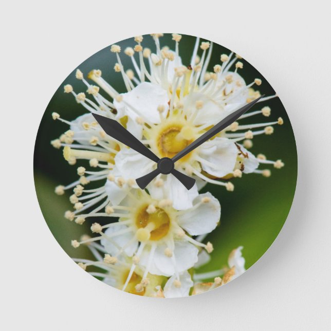 Reloj de pared (Anverso)