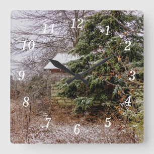 Reloj de pared abandonado de Shed