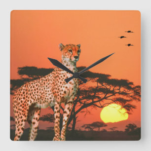 Reloj de pared acrílico