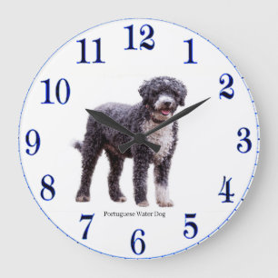 Reloj de pared acrílico