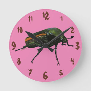 Reloj de pared acrílico de Beetle Bug