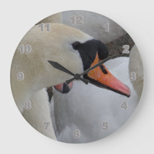 Reloj de pared acrílico de cisne blanco