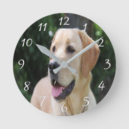Reloj de pared acrílico de foto de perro personali