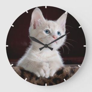 Reloj de pared acrílico de foto Mascota fácil Pers