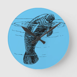 Reloj de pared acrílico de Manatee
