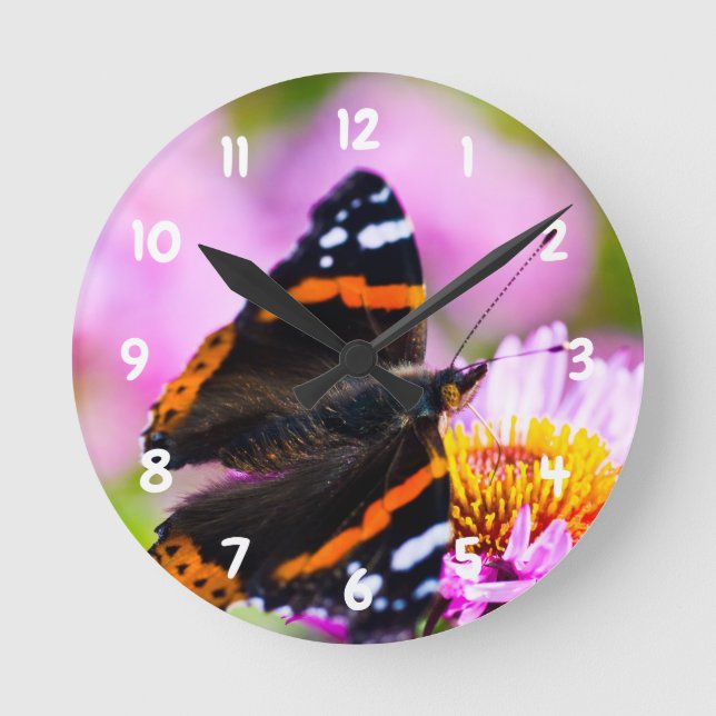 Reloj de pared acrílico de mariposa del Almirante  (Anverso)