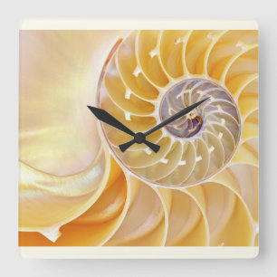 Reloj de pared acrílico de Nautilus