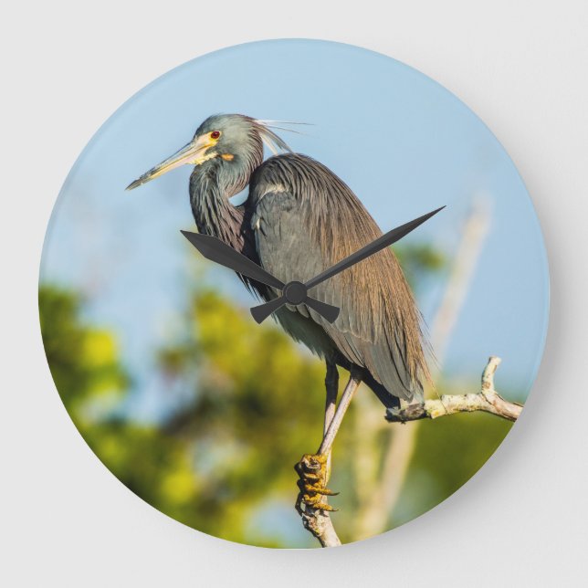 Reloj de pared acrílico perfecto para aves, redond (Anverso)